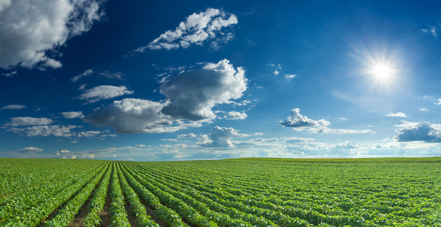 Landwirtschaft Paraguay Investment Soja